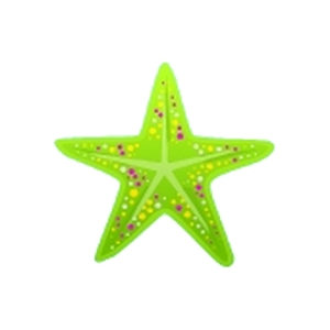 Lime Starfish